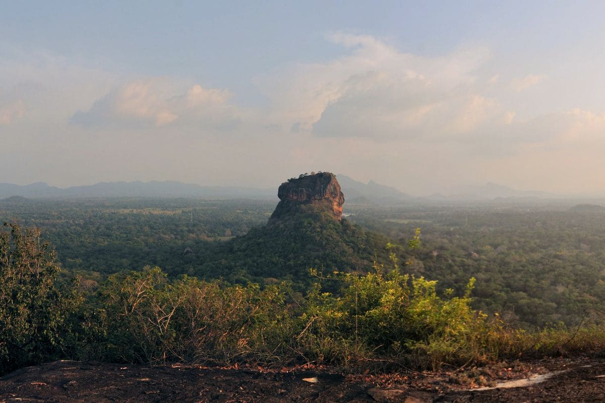 உலக பாரம்பரியத்திலிருந்து நீக்கப்படும் அபாயம்